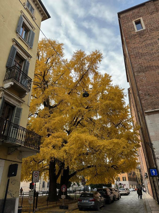 Domus Largo Pescheria Verona Exteriör bild