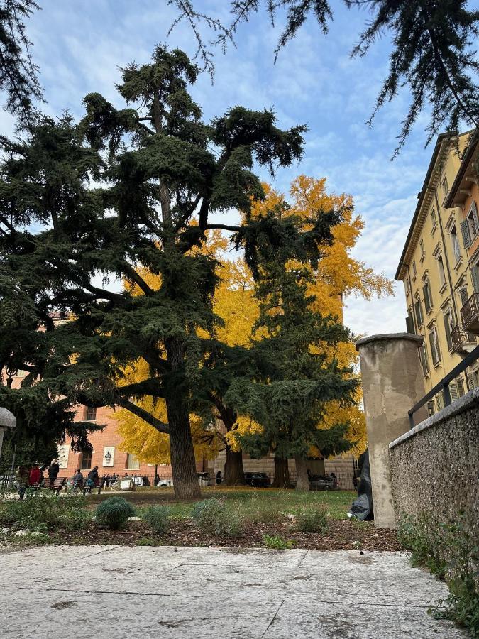 Domus Largo Pescheria Verona Exteriör bild